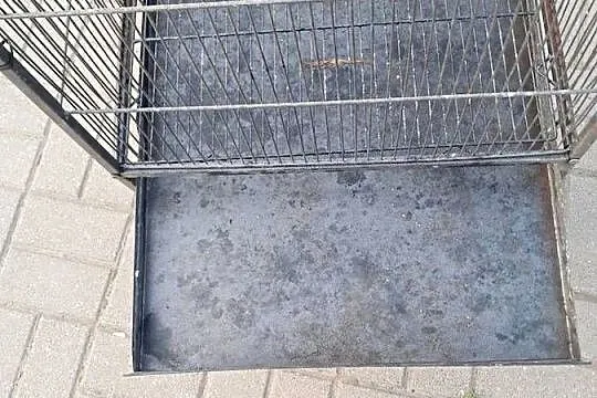Klatka dla papug, Lubuskie, Popęszyce