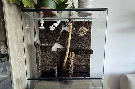 Terrarium