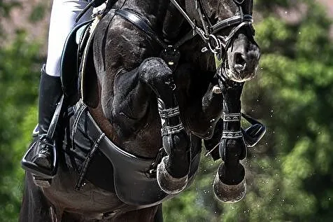 Ogier Alebastr, , 