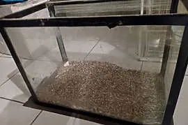 Akwarium używane ok 50 l