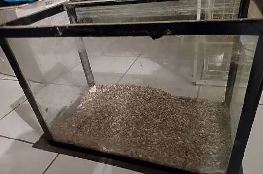 Akwarium używane ok 50 l, Małopolskie, Kraków