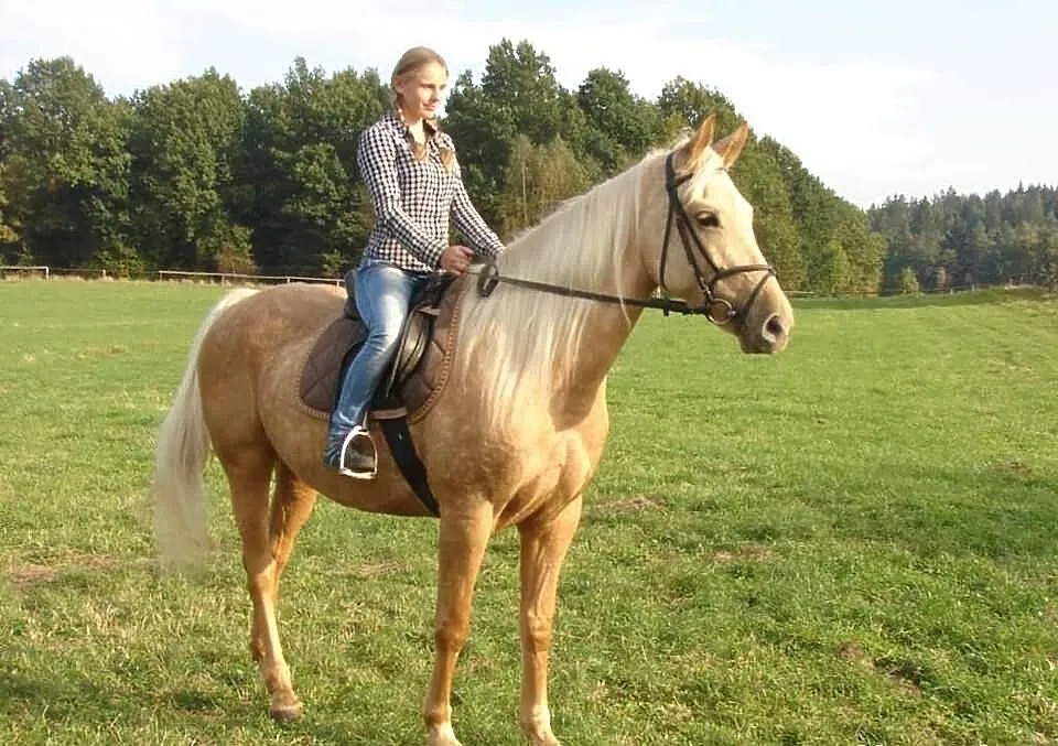Sprzedam Konia