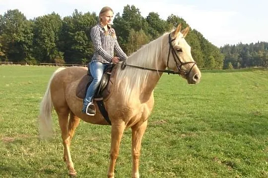 Sprzedam Konia