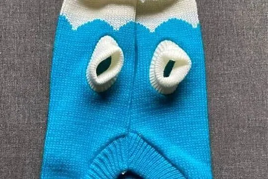 Sweter dla kota lub psa, Małopolskie, Tarnów