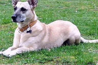 Fiona &#8211; czas na nowe życie,  Kundelki ca