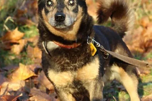 Winston.To nie jest koniec?,  kujawsko-pomorskie B
