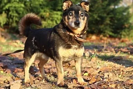Winston.To nie jest koniec?,  kujawsko-pomorskie B