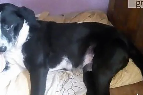Kocham ludzi daj mi wspaniały domek na całe życie, , Lublin