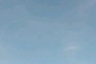 Stawaki garłacze gołębie, Podkarpackie, Mielec