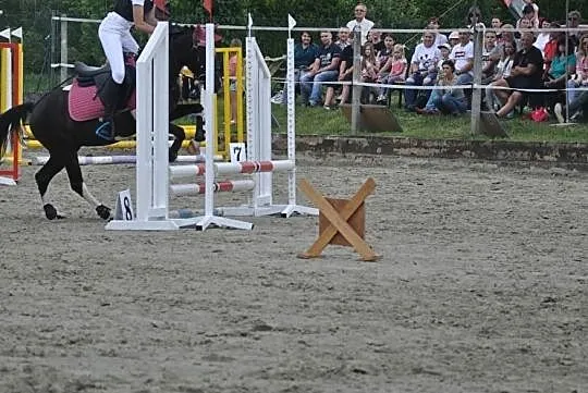Dzierżawa kuca, , 
