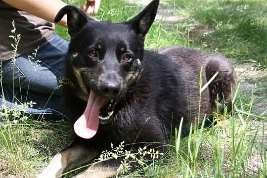 Haker wciąż szuka... a KUBA już dawno adoptowany