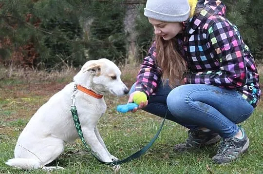 Alvin do adopcji, Przemyśl Wilcze