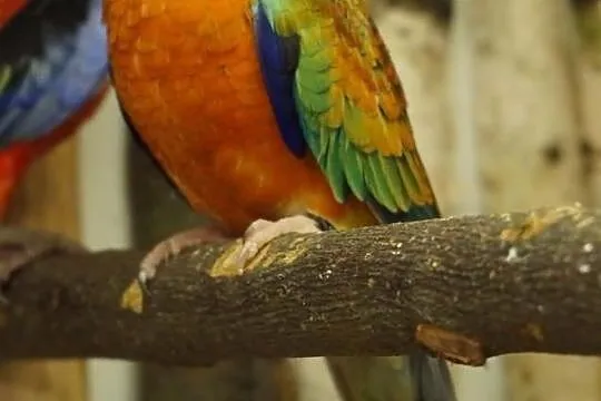 Wymiana