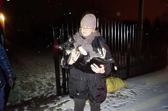 Amelka, 7 miesięczna sunia SZCZENIAK kochający cał