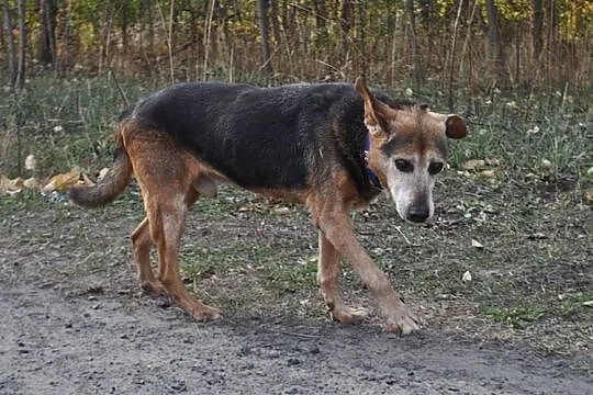Od 13 lat nikt mnie nie kocha___ Nie chcę umrzeć s