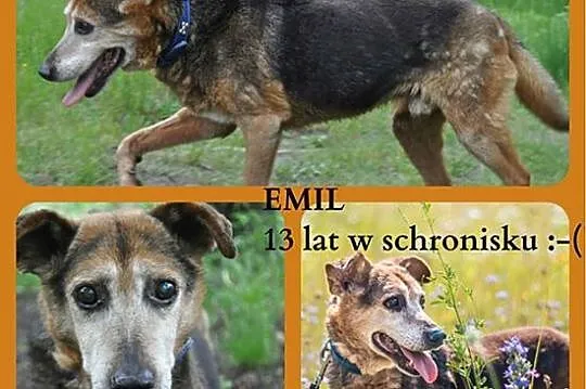 Od 13 lat nikt mnie nie kocha___ Nie chcę umrzeć s