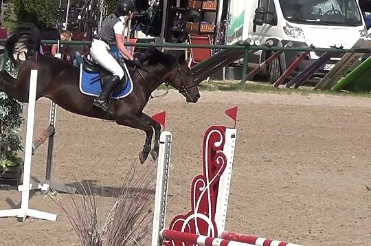 Kuc D grupy na Cavaliadę Future, Ogólnopolską Olimpiadę Młodzieży, Mistrzostwa Polski D-bis, , 