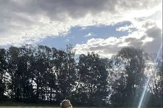 Reproduktor American Bully, Dolnośląskie, Bielawa