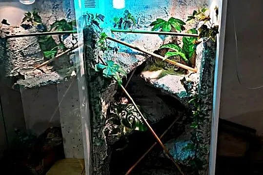 Okazja terrarium dla agamy gekona żółwia węża kameleona legwana boa pająka