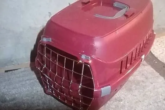 Klatka transportowa dla zwierząt, Małopolskie, Chrzanów