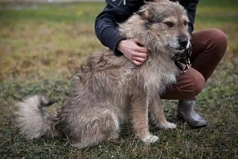 Milutki Emil kocha ludzi bardzo mocno... Czy ktoś 