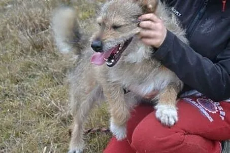Milutki Emil kocha ludzi bardzo mocno... Czy ktoś 