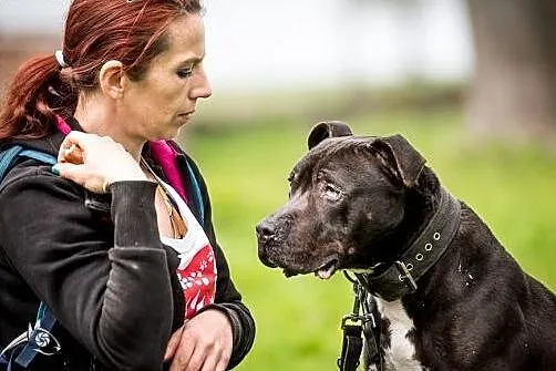 NEMO - piękny, czarny, z małym krawacikiem :),  ma