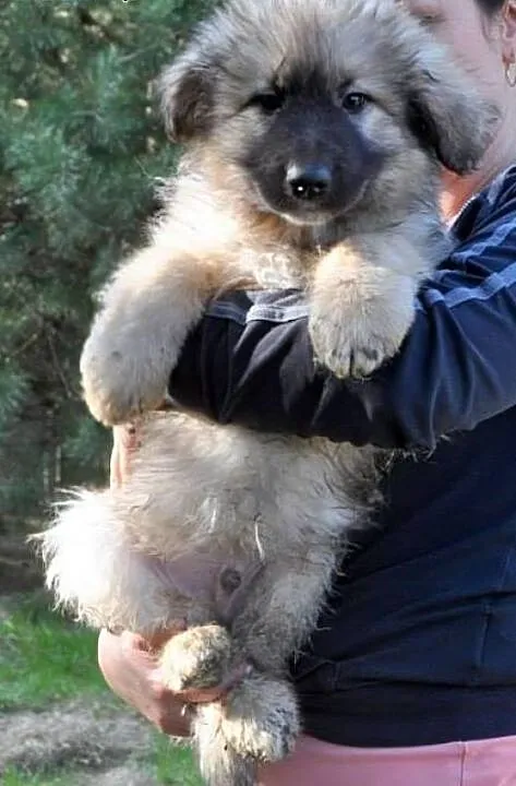 10tyg.PIESKI XXL-BĘDĄ DUŻE, łódzkie Łódź
