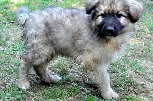 10tyg.PIESKI XXL-BĘDĄ DUŻE,  łódzkie Łódź