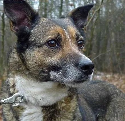 Kali marzy o kochającym i odpowiedzialnym domku na