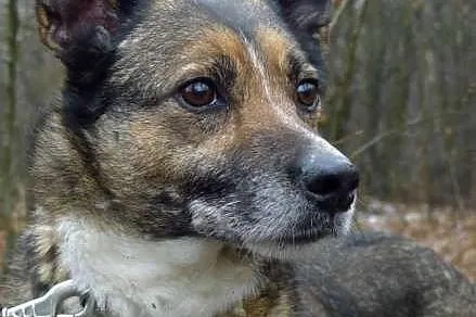 Kali marzy o kochającym i odpowiedzialnym domku na