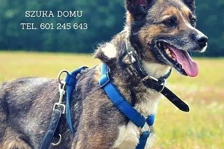 Kali marzy o kochającym i odpowiedzialnym domku na
