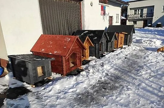 Buda dla psa ocieplona, ocieplana SOLIDNA, Śląskie, Myszków