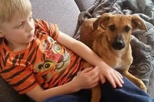 OLAF i życie nabiera smaku :),  mazowieckie Warsza