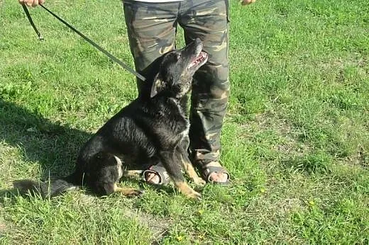 Radosna, bezkonfliktowa i bezproblemowa Rafia, po 