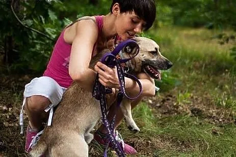 Mentos - bardzo tęskniący za człowiekiem psiak szu
