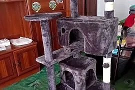 Drapak dla kota