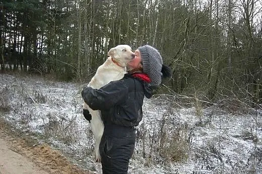 Suri, śliczna suczka szuka domu,  śląskie Sosnowie