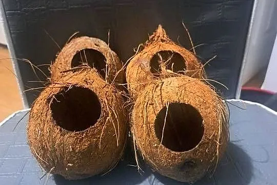 Witam mam do sprzedania budki dla małych ptaków, Łódzkie, Łask