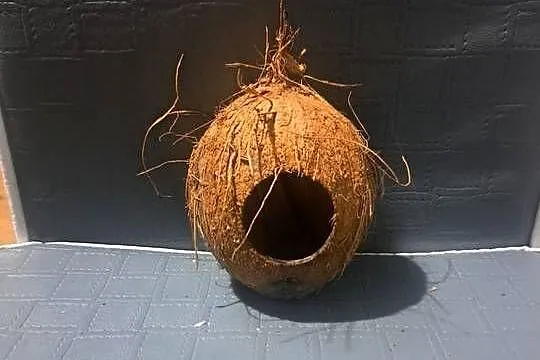 Witam mam do sprzedania budki dla małych ptaków, Łódzkie, Łask