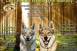 Rezerwacje szczeniąt czechosłowackiego wilczaka, Vracov