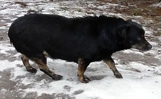 Kluska czeka z nadzieją na lepszy dzień , mazowi