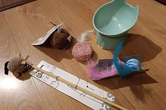 Zestaw dla kota: 4 x zabawki 1 x miseczka plastikowa, Śląskie, Szczyrk