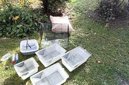 Zestaw klatek laboratoryjnych hodowla myszy, Mazowieckie, Dębe Wielkie