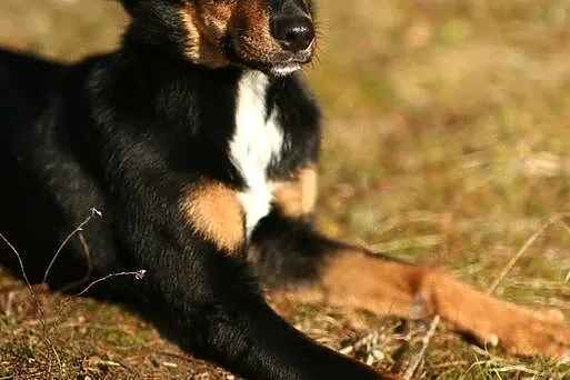 Piękna Marusia czeka na Ciebie :)