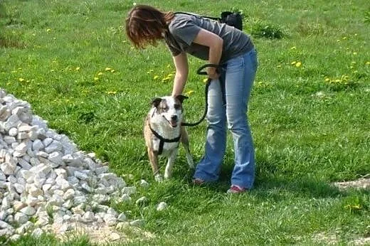 Jacky nie ma oczka, czy dlatego nikt nie podaruje 