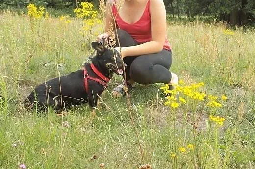 DYZIO cudowny maluszek szuka dobrego domku,  Kunde