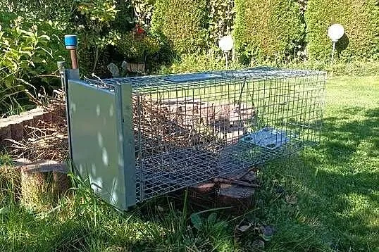 Sprzedam klatkę dla zwierzątek, Małopolskie, Wolbrom