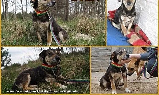 Zuza - niewielka, uwierzyła w człowieka, mazowiec
