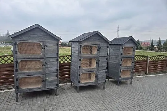Klatka dla królików, Małopolskie, Jordanów